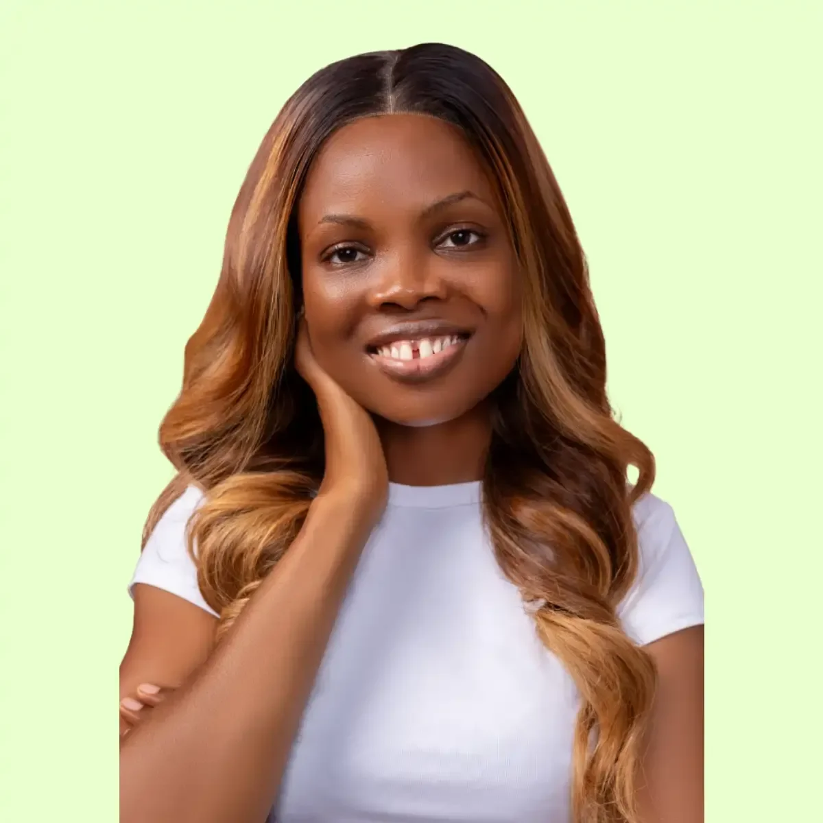 Milan Luxury Donor Brown Highlight Wig